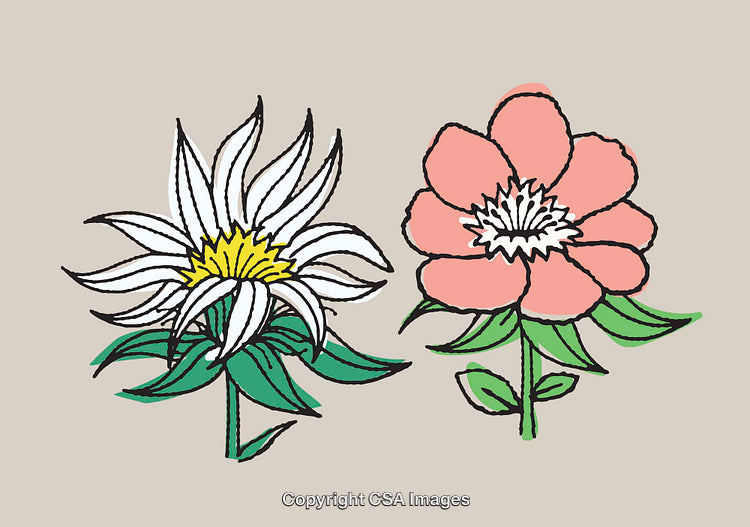 Colorful Line Art Illustrations of Two Flowers with Green Foliage