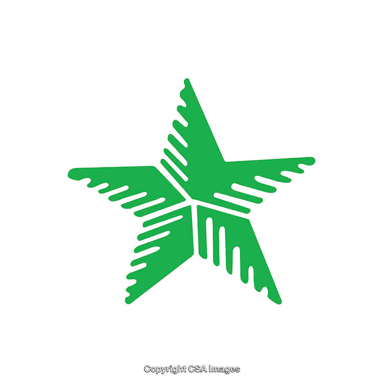 Green Five-Point Star with Unique Outlined Patterns