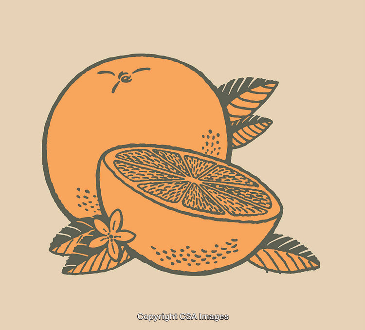 Colorful Line Art Illustration of Sliced Orange with Leaves and Florals