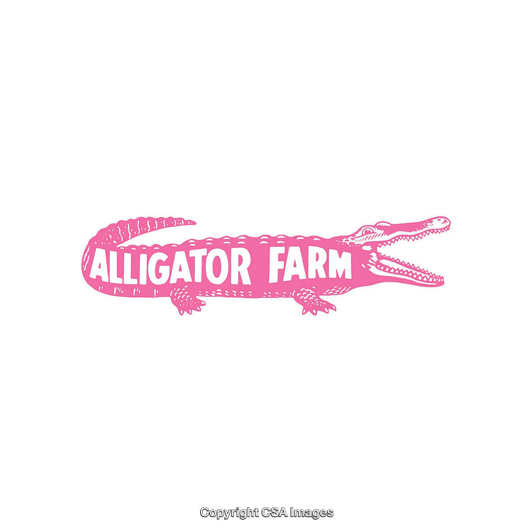 Bright Pink Alligator Illustration With Text 'Alligator Farm' on White Background