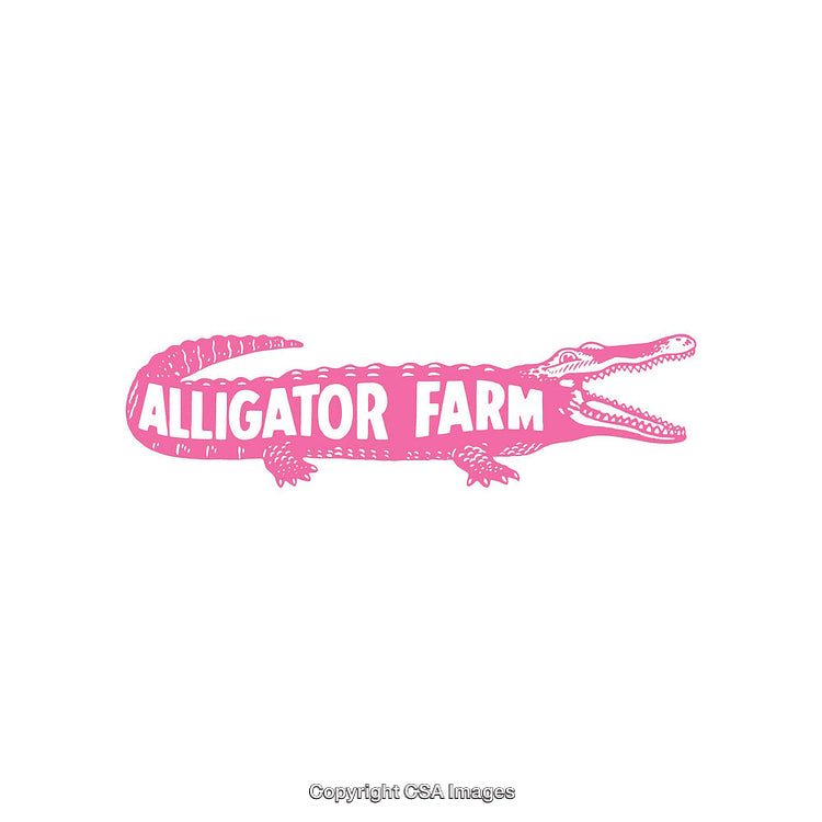 Bright Pink Alligator Illustration With Text 'Alligator Farm' on White Background