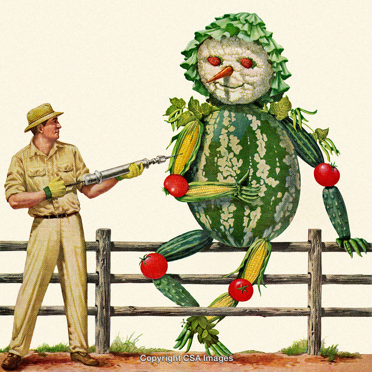 Whimsical Artwork of Personified Produce Engaging With a Farmer Outdoors