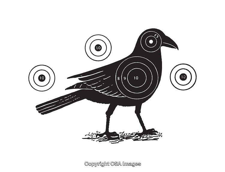 Vintage Black And White Bird Target Illustration with Bullseye Indicators