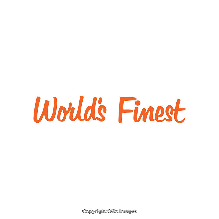Orange Script Text Reading 'World's Finest' on a Plain White Background