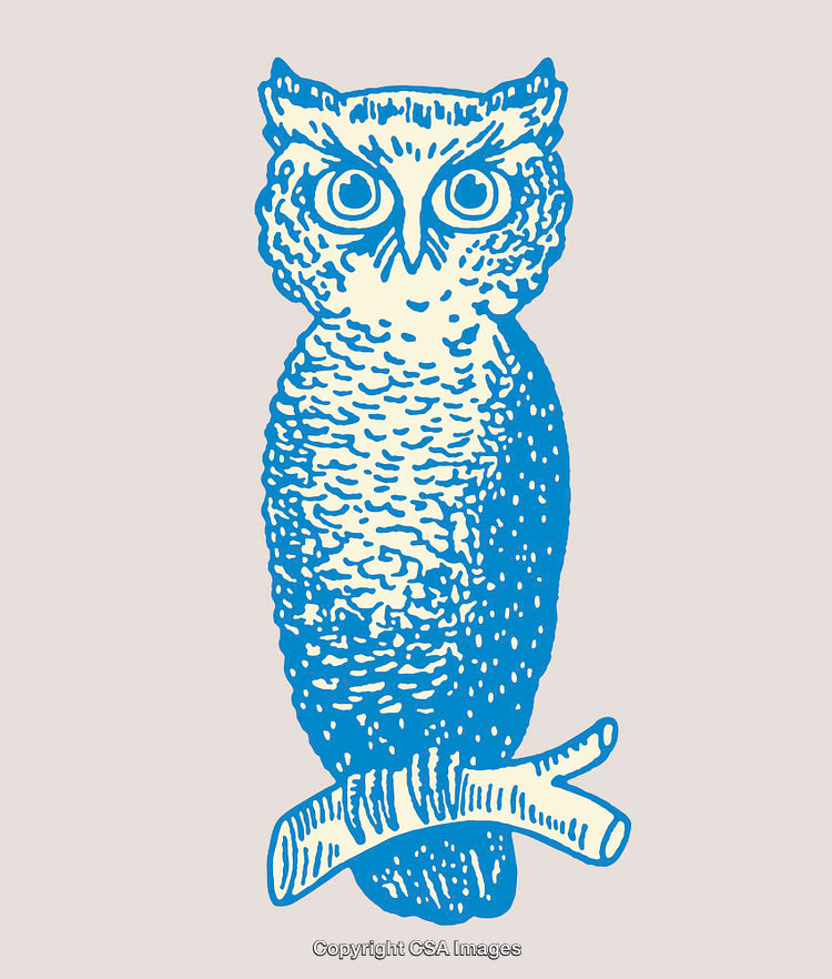 Blue Owl in Textured Line Art Design on Neutral Background