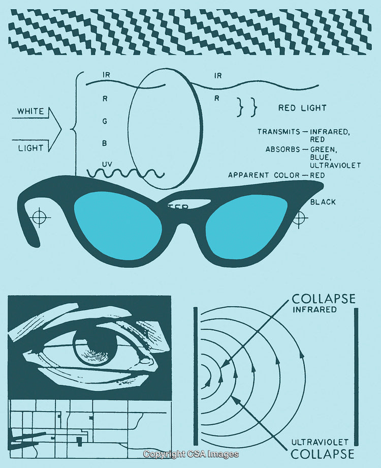 Sunglasses and Vision