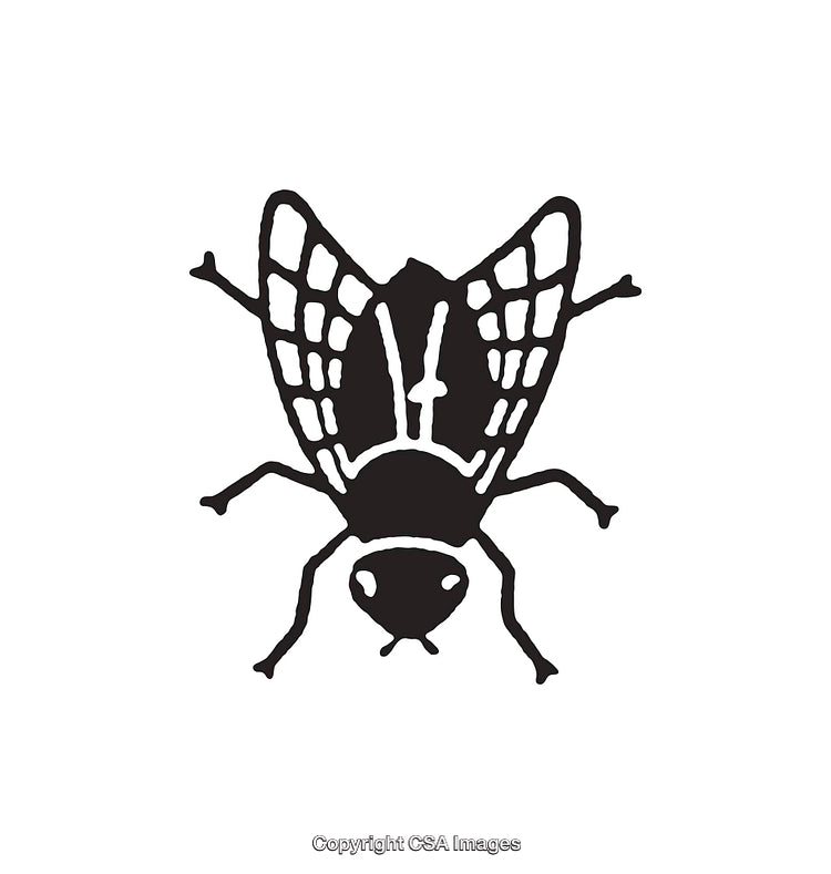 Black and White Line Art Illustration of a Simplified Fly