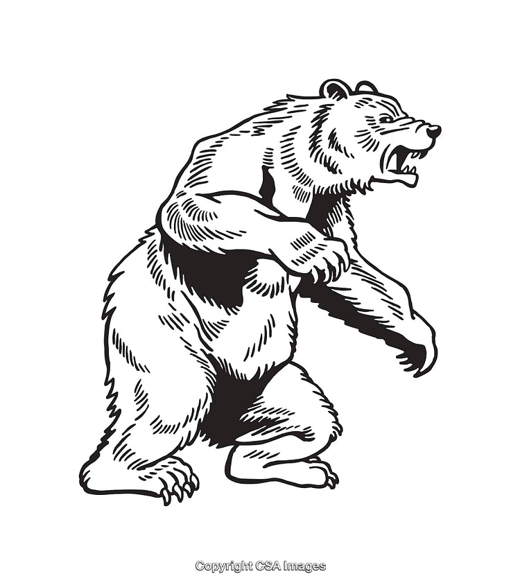 Black And White Line Art of a Standing Bear Showcasing Ferocity