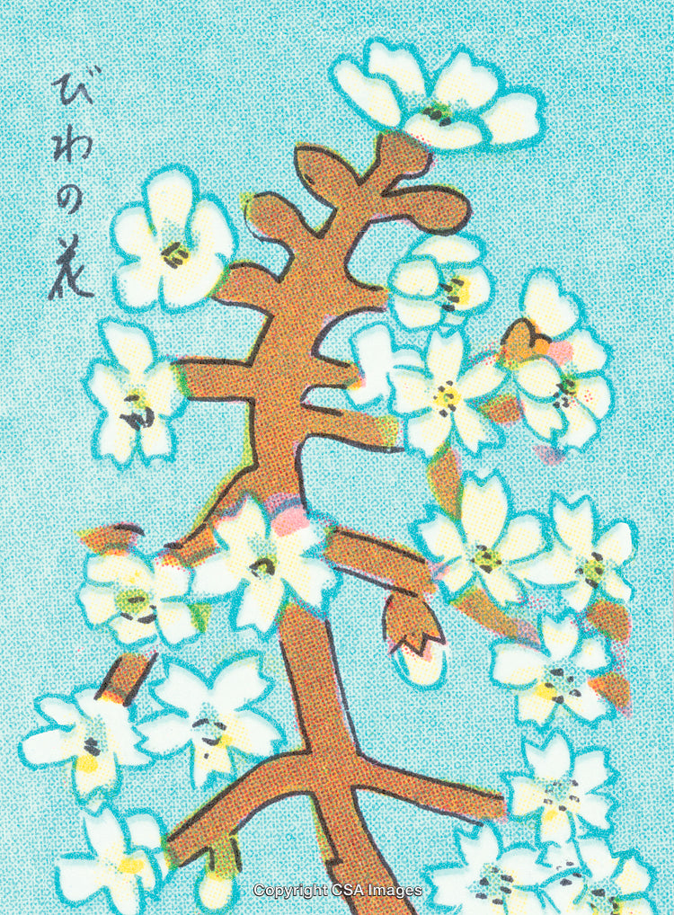 Detailed Floral Illustration with Vibrant Colors on Teal Background