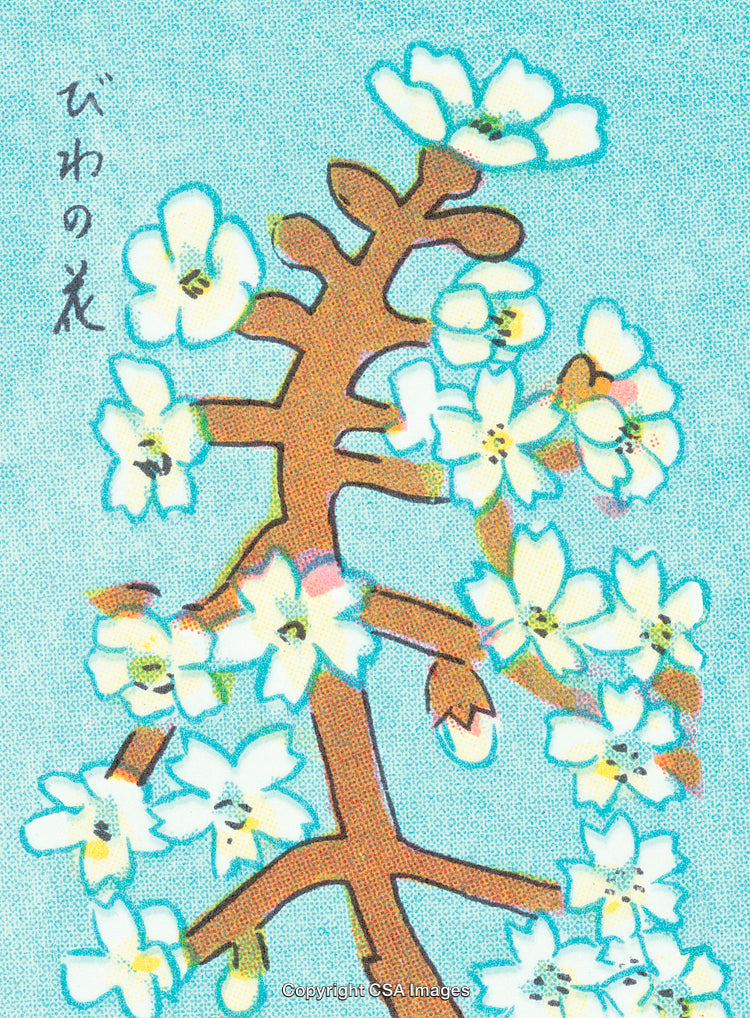 Detailed Floral Illustration with Vibrant Colors on Teal Background