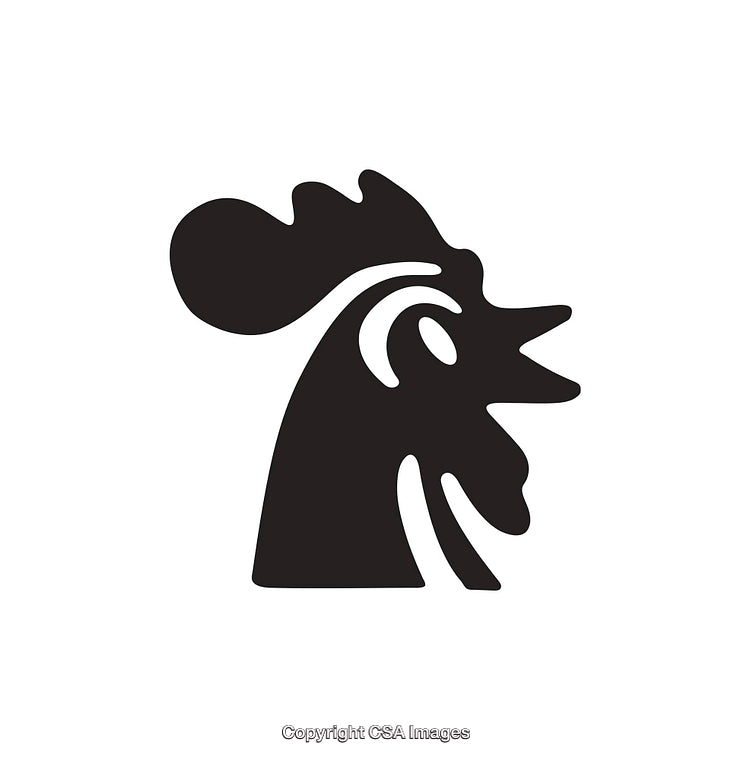 Stylized Black and White Icon of a Rooster Side Profile