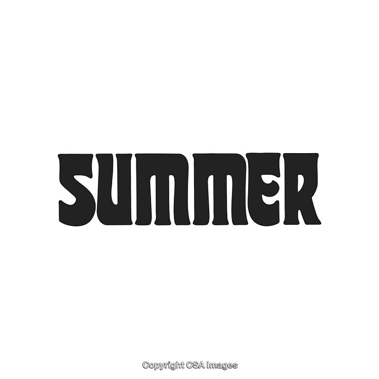 Bold Black 'Summer' Text in Retro-Styled Font on White Background