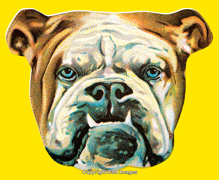 Colorful Bulldog Portrait with Bright Yellow Background Artwork