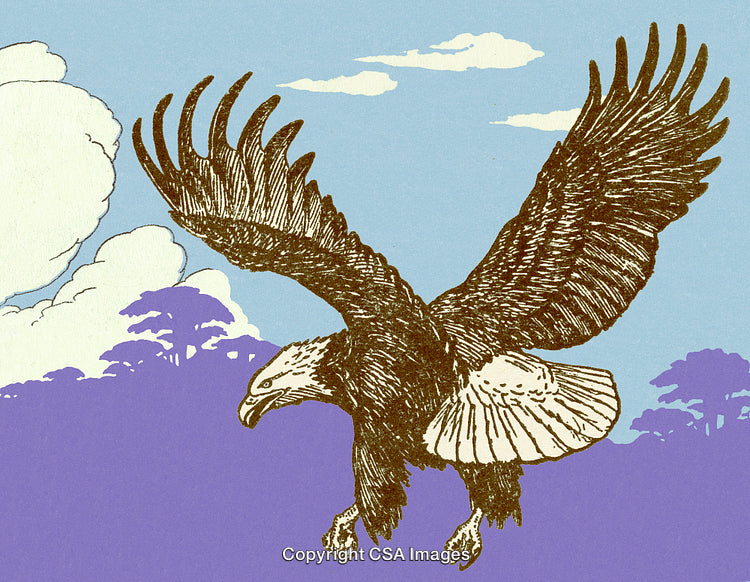Illustrated Bald Eagle Soaring Gracefully Against a Beautiful Natural Sky Backdrop
