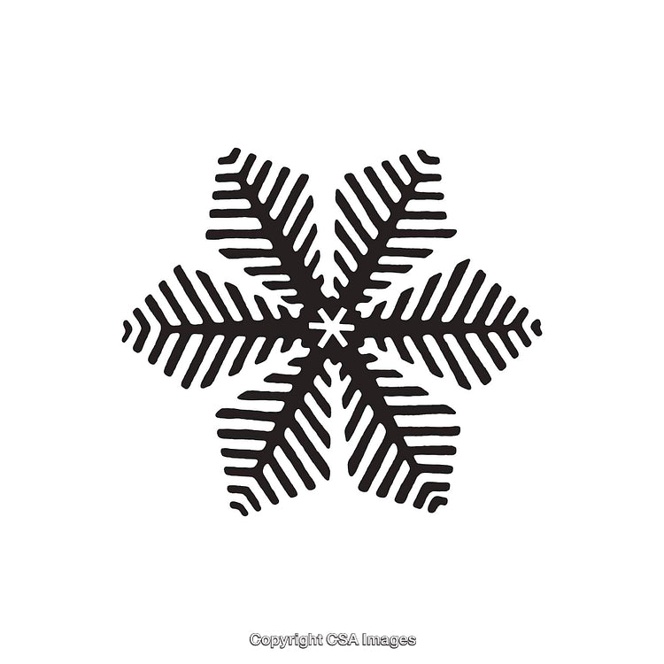 Black and White Symmetrical Winter Snowflake Shape Design