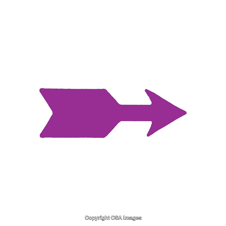 Purple Arrow Shape on a White Isolated Background