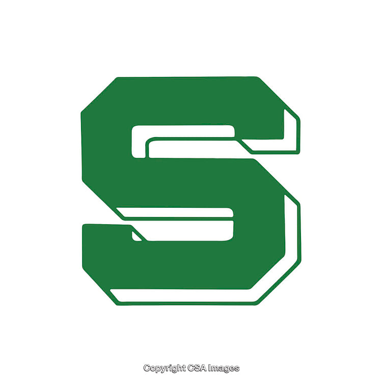Stylized Green Letter S With Modern Design on White Background