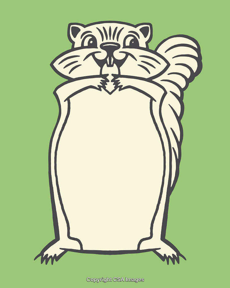 Playful Cartoon Squirrel Illustration on Green Background with Whimsical Style