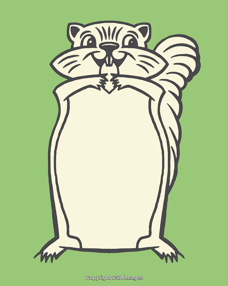 Playful Cartoon Squirrel Illustration on Green Background with Whimsical Style