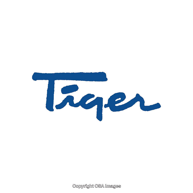 Blue Handwritten Tiger Text Logo on White Background