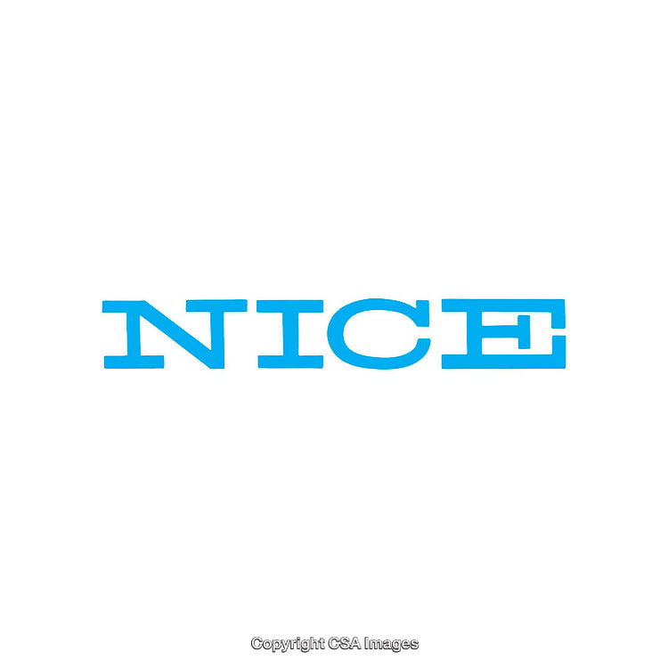 Bold Blue Text Design Featuring the Word 'Nice' on White Background