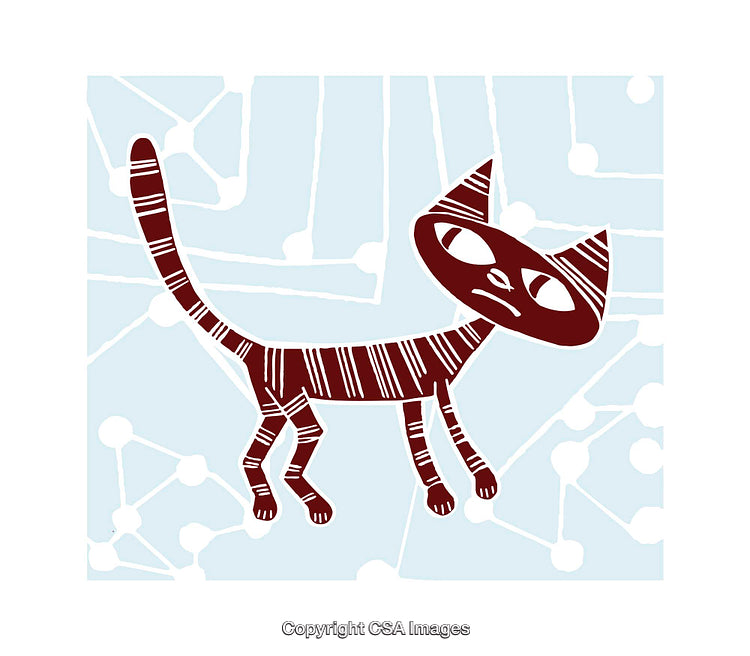 Playful Stylized Cat Illustration with Geometric Background