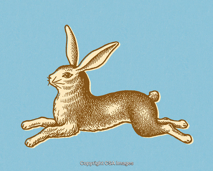 Vintage Engraved Illustration of a Leaping Rabbit on Blue Background