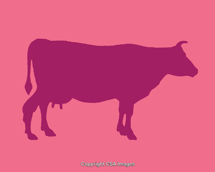 Silhouette of a Cow in Vibrant Pink and Purple Design
