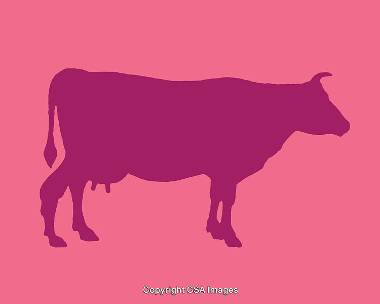 Silhouette of a Cow in Vibrant Pink and Purple Design