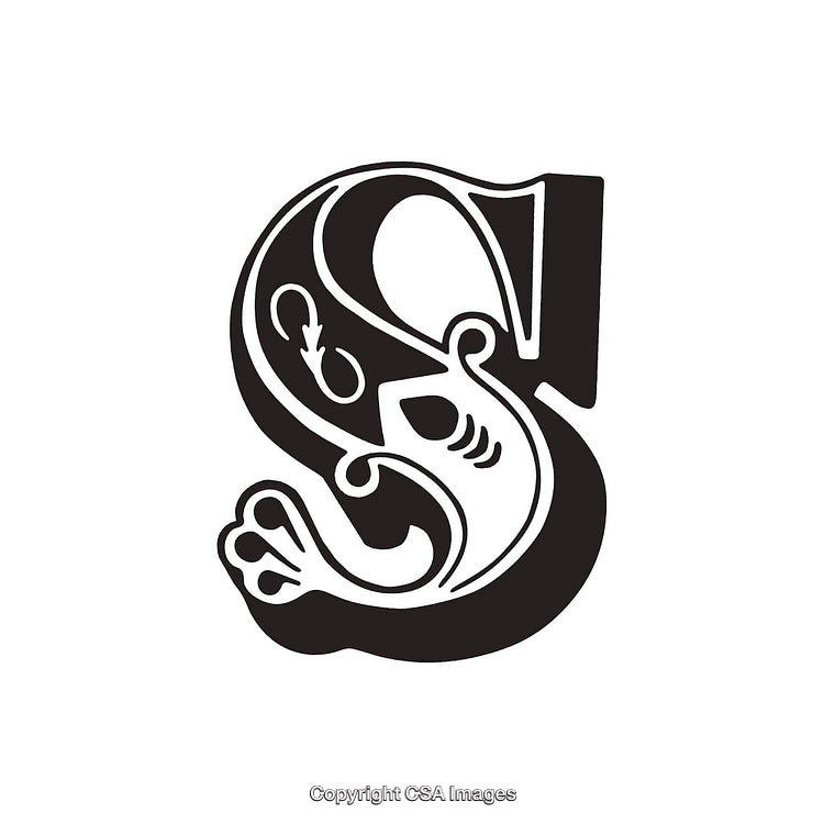 Decorative Black And White Illustrated Letter S With Ornate Details