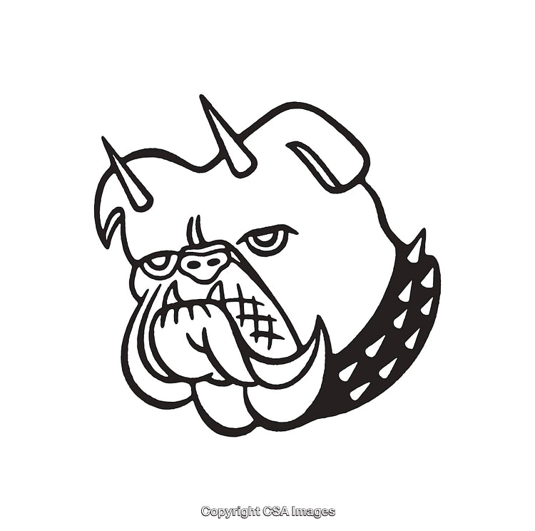 Fierce Bulldog Illustration with Spiked Collar in Black and White Line Art