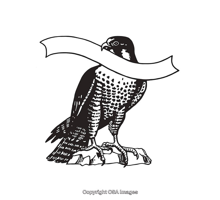Black and White Line Art Illustration of a Falcon with Banner