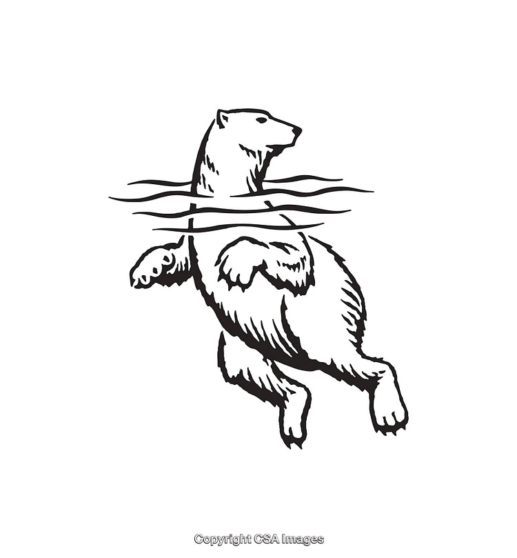Illustration of a Polar Bear Swimming Underwater in Black and White Line Art