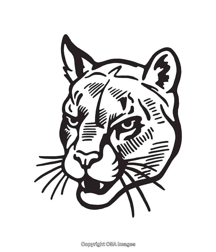 Black and White Line Art Illustration of a Cougar Head with Intense Expression