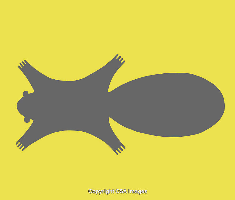 Silhouette of a Beaver on a Vibrant Yellow Background