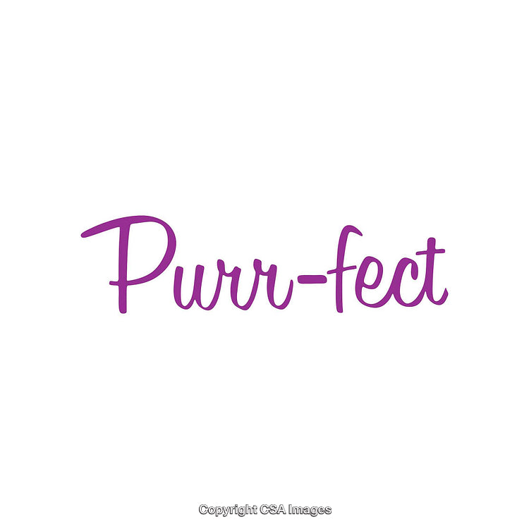 Purple Text Reading Purr-Fect on a Clean White Background