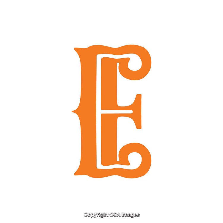 Ornate Decorative Letter E in Bold Orange Color Design