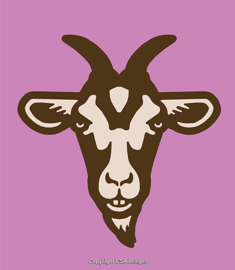 Illustration of Goat Head in Bold Line Artwork on Purple Background