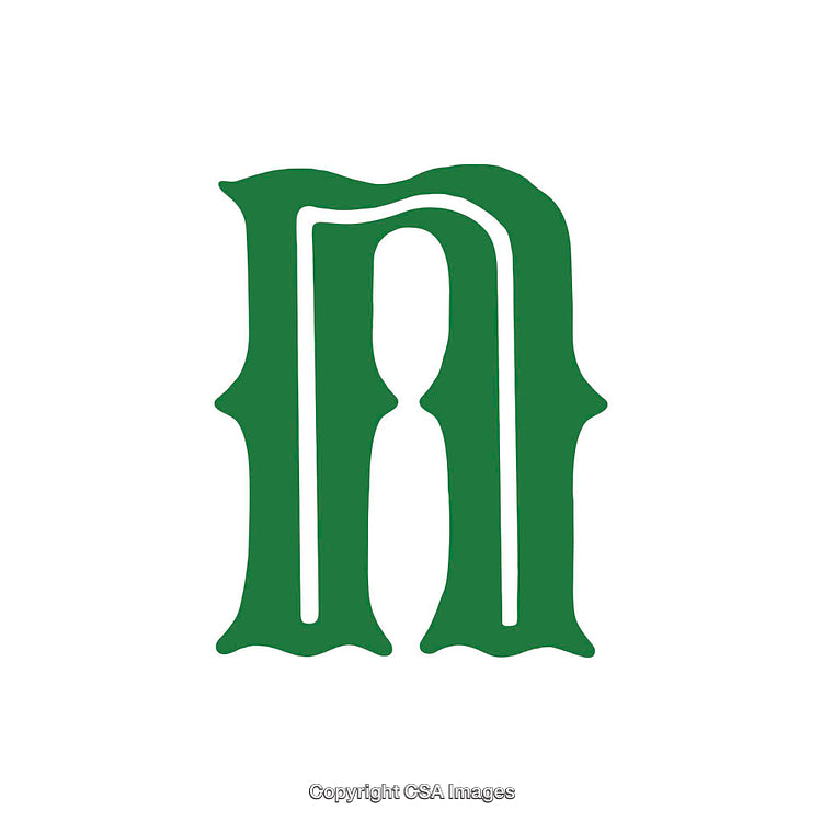 Elegant Green Letter N in a Decorative Style on White Background