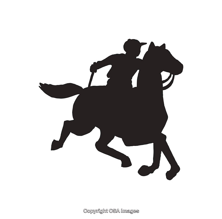 Silhouette of a Rider on a Galloping Horse