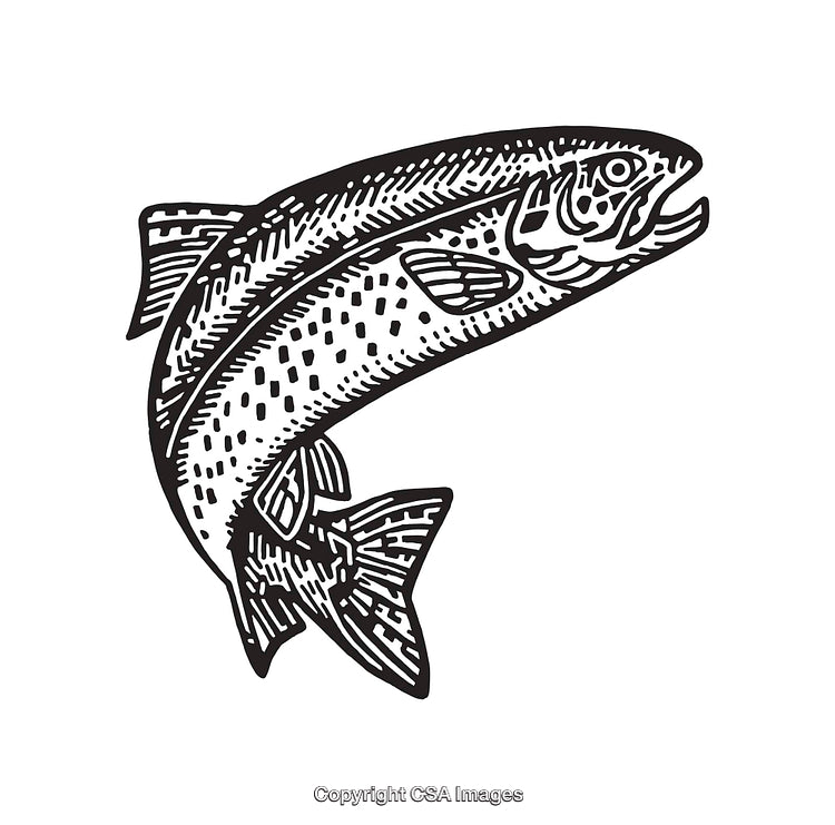 Black and White Line Art Illustration of a Stylized Jumping Fish