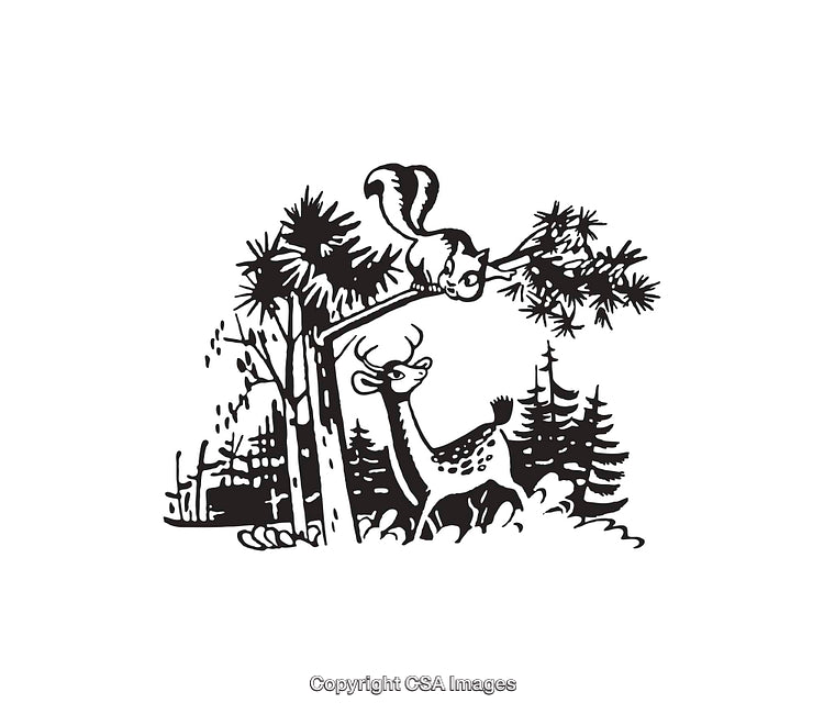 Charming Forest Scene Featuring a Deer and a Squirrel in Black and White