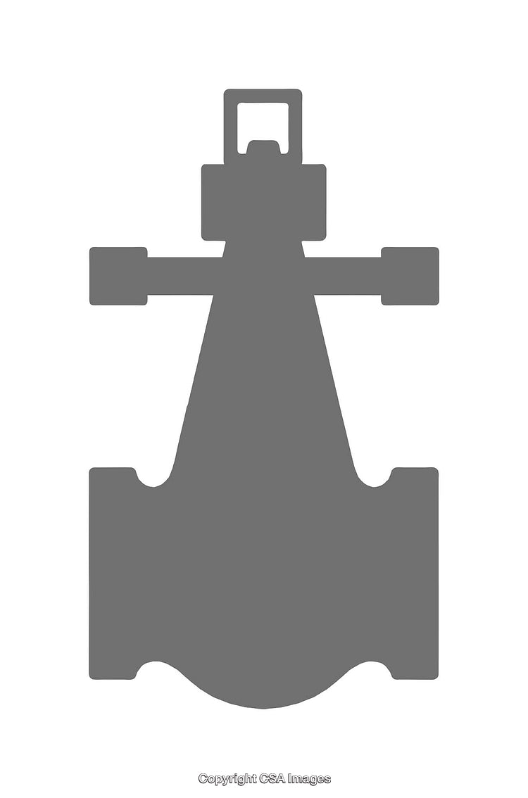 Minimalistic Black Silhouette of a Racing Car from Top View