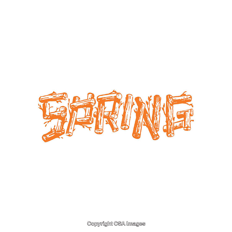 Stylized Text Design Featuring "Spring" in Rustic Orange Theme Illustration