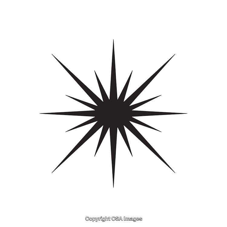 Black Starburst Abstract Shape Icon on White Background