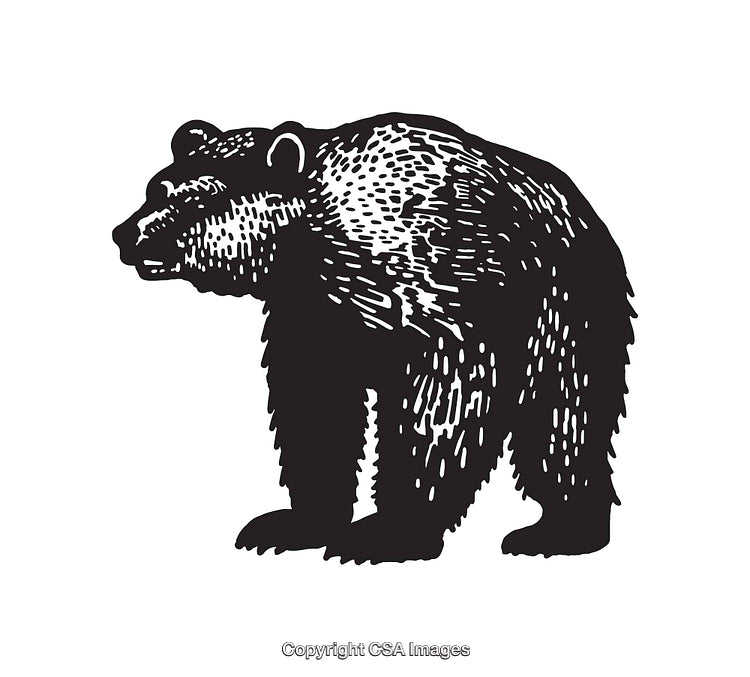 Black and White Line Art Illustration of a Majestic Bear Profile