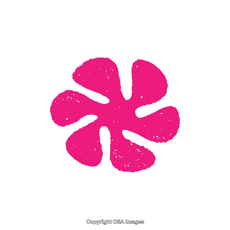 Pink Flower Shaped Dingbat Design on a White Background