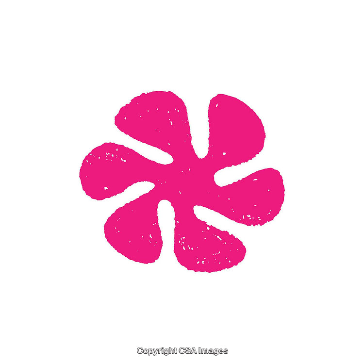 Pink Flower Shaped Dingbat Design on a White Background