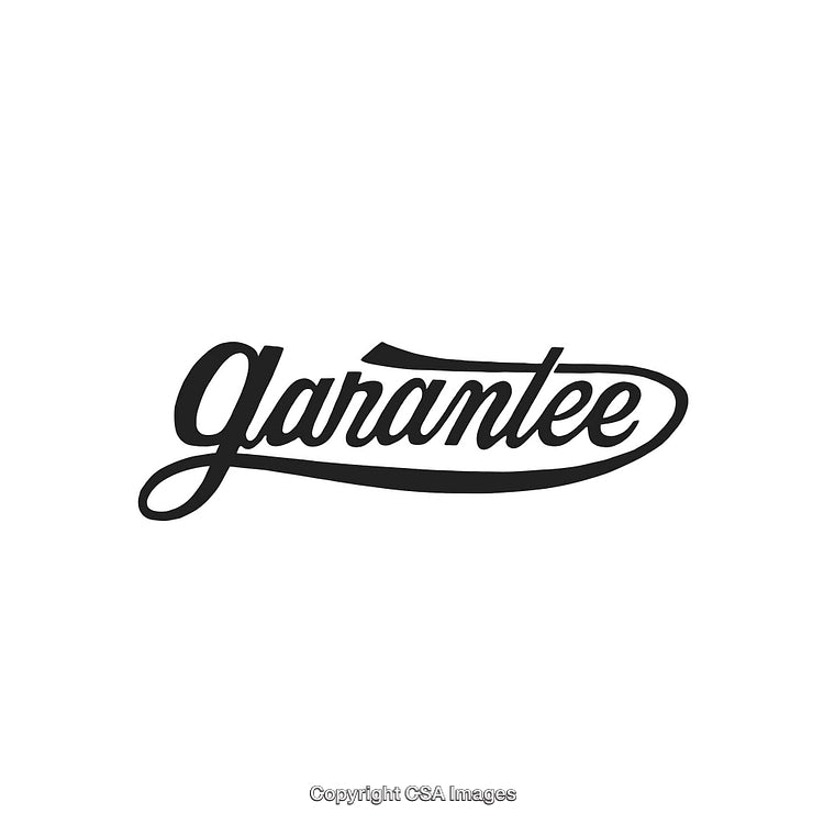 Elegant Typography Design Featuring the Word Guarantee in Stylish Script Font