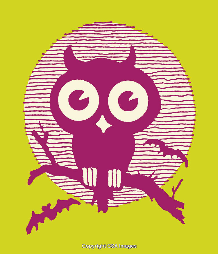 Vibrant Owl Illustration with Bold Colors and Stylized Design